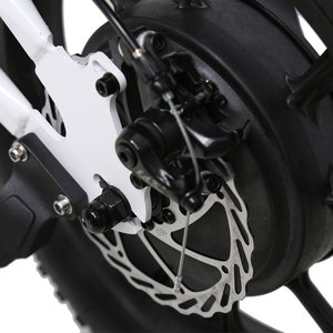 Motocicleta Eléctrica para Niños TXED de 16 Pulgadas, Motor de 350 W, Batería de 36 V y 10.4 Ah, Control Parental, Estilo Motocicleta - Product Image 6