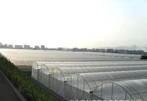 Nhà Cung cấp nhà máy <span class=keywords><strong>LDPE</strong></span> polythene mulch nhựa phim phân hủy PE Chất liệu Weed điều khiển cho nông nghiệp sử dụng vườn - Product Image 6
