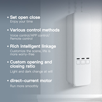 Moteur de rideau électrique WiFi pour stores à chaîne motorisés, contrôle intelligent via application Tuya, télécommande RF Alexa/Google, entraînement de volet/rideau par câble