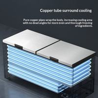 Congélateur électrique miniature YINZHENG à porte pliante, blanc, à une seule température, économe en énergie, pour les foyers, les camping-cars, les hôtels et les garages résidentiels