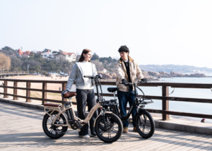Vélo électrique de ville KOOLUX X16 20 pouces, batterie lithium 48V 15.6AH, pliable, pneus larges, 25 km/h, 7 vitesses, freins à disque - Product Image 3