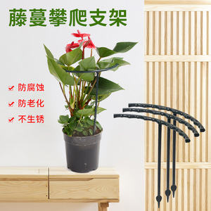 <b>Plant</b> <b>Support</b> <b>Frame</b> Black Plastic 3 Pack For Potted Flowers Garden Use - Product Image 3