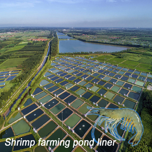 CE tấm polyethylene HDPE tấm trong suốt <span class=keywords><strong>geomembrane</strong></span> - Product Image 4