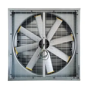 Istikrarlı ve verimli negatif basınç fanı dayanıklı kanatlı havalandırma fanları düşük fiyat push-pull egzoz fanı