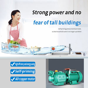 Bomba de bombeo de pozo de agua de cabeza alta 220 para el hogar, torre de acero inoxidable, menos grifo de agua, tornillo de refuerzo de agua, bomba autocebante - Product Image 2