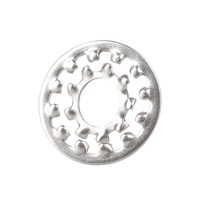 304 Stainless Steel Inner-Tooth Outer-Tooth Lock Washers Whitewashing Finish Multiple Sizes DIN 679 Daisy M2M30