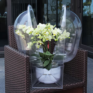 Grande boîte à semis en polyéthylène <span class=keywords><strong>transparent</strong></span> PET Polyhedron AD-HDL3 haut de gamme pour plantes en <span class=keywords><strong>pot</strong></span>, pour l'agriculture, fabriquée en Chine - Product Image 2