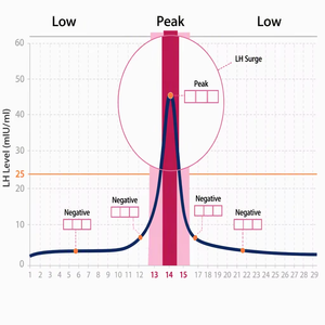 Test d'<span class=keywords><strong>ovulation</strong></span> à domicile, <span class=keywords><strong>bandelette</strong></span>, cassette et test urinaire, résultat en 10 minutes, kit de test LH - Product Image 4