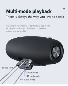 2024 Brand new Outdoor Speaker Karaoke portátil impermeável com dois microfones sem fio e alça de ombro
