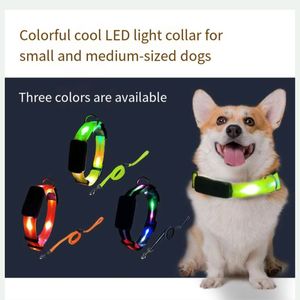 USB Charging for LED Collar Leash Set New Modern Print Style Durable Polyester Soft <b>Light</b> <b>Dog</b> Pet Night <b>Walking</b> Collar - Product Image 2