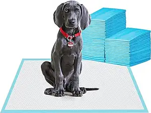 Super Absorbent And Waterproof Dog And Puppy Pet Training Mats Household Pet Mats