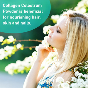 Poudre de collagène et de colostrum personnalisée avec protéines et sodium pour soutenir la santé digestive et immunitaire – Boisson en poudre - Product Image 3