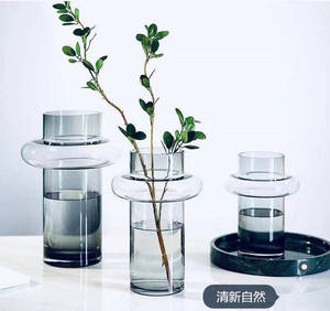 Nordic Fashion Grey <b>Glass</b> <b>Vase</b> Modern Soft Installation Hydroponic Floral Set Living Room Table Decoration Crystal <b>Glass</b> <b>Vase</b> - Product Image 3
