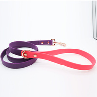 Ensemble de laisse pour collier pour animaux de compagnie de couleurs mélangées imperméables résistant aux intempéries en cuir enduit de PVC pour chiens colliers solides BREAKAWAY pour chiens en plastique