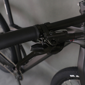 Bicicleta Completa SERAPH 29er Hardtail de Montaña con Grupo LTWOO 1*13S, Frenos de Disco Hidráulicos y Ruedas de Aluminio M06 - Product Image 3