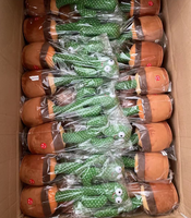 Cactus dansant mignon en peluche, jouet en peluche doux personnalisé pour cadeaux de Noël, cactus en peluche personnalisé amusant