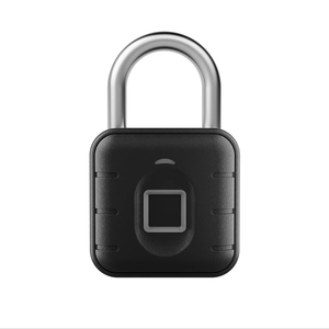 Serratura Intelligente Impermeabile Personalizzata con Logo, Sblocco Digitale Elettronico con Impronta Digitale per Porte in Legno e Vetro, Archiviazione Dati su Scheda di Memoria, SDK - Product Image 1