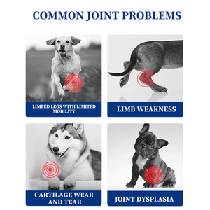 Tự nhiên sức khỏe khớp bổ sung 1 5g 2 5g chai tùy chỉnh trọng lượng màu xanh lá cây hến nghệ chiết xuất - Product Image 6