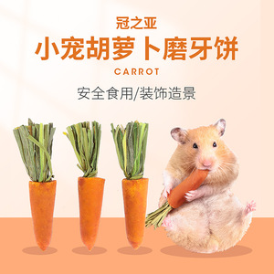 Jouets à mâcher comestibles en forme de carotte pour hamsters et lapins, en bois, friandises d'intérieur pour animaux de compagnie avec design décoratif paysager - Product Image 2