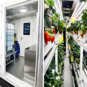 Contenedor de Cultivo de Fresas Inteligente Llave en Mano, Iluminación LED de Espectro Completo, Fábrica de Agricultura Vertical - Product Image 5