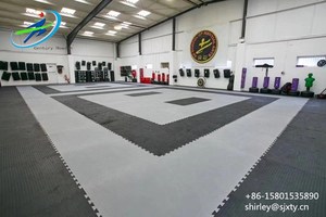 Tapis de jeu de judo Tatami en mousse EVA de haute qualité pour enfants et enfants - Product Image 2