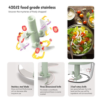 Accessoires de cuisine en plastique, coupe-légumes manuel, hachoir à viande, mini-presse-ail, presse-piment et gingembre, écologique
