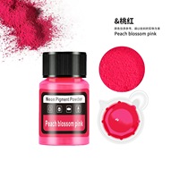 Poudre de pigment néon pour résine, nail art, savon, peinture et plus encore – Couleurs fluorescentes vives