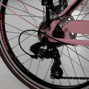 Tricycle électrique 10 pouces pour <span class=keywords><strong>famille</strong></span>, 3 roues, bicyclette avec siège coussin - Product Image 5