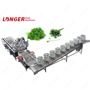 Machine à laver pour levain, appareil industriel pour laver les fruits et légumes, vente en gros, - Product Image 2