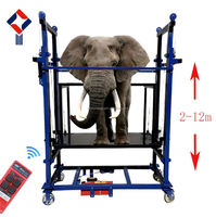 Plateforme élévatrice électrique en acier au carbone, hauteur 2-12 mètres, charge 300 kg et 500 kg, avec système antichute et garde-corps personnalisé