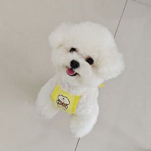 ผ้ากันเปื้อนสุนัขลายสัตว์น่ารัก สีเหลือง ฟ้า ชมพู ผ้าโพลีเอสเตอร์ สำหรับสุนัขตัวเล็ก ป้องกันความหนาวเย็น - Product Image 4