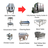 Machine à éplucher et à échauffer les poulets automatique avec pompe et roulement, haute productivité, 380V, pour équipement d'abattage de volailles