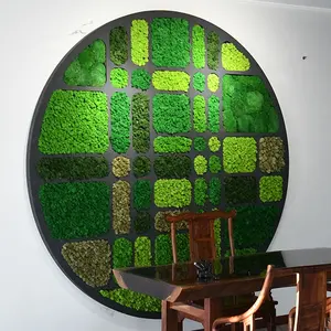 Groen 100% Natuurlijke Rendier Lichen Moss Decoratieve Bewaard Kunstmatige Moss Muur Custom-Made Bewaard Moss Panel