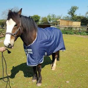Top Quality Equestrian Water Proof Winter 600D Light Weight Turnout Horse Rug 100g - Product Image 1