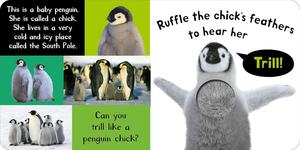 Noisy Animal My First Touch and Feel Livres sonores Noisy Baby Animals Noisy Farm Noisy Animals - Product Image 3