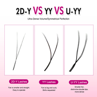 Nouveaux ventilateurs super étroits 2D W3D W4D W5D Clover W Extensions de cils avec 0,07 mm 0,05