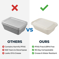 Suikerrietbagasse bento box met deksel, wegwerpbaar, biologisch afbreekbaar, composteerbaar, rechthoekige voedselcontainer voor afhaalrestaurants