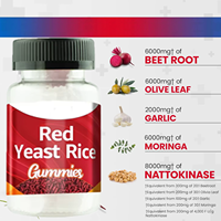 Extrait de Levure de Riz Rouge OEM Complément Alimentaire Capsules de Levure de Riz Rouge