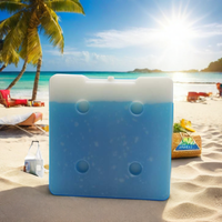Blocs de glace à changement de phase PCM de grande taille de 1300 ml pour la chaîne du froid et les sacs isothermes