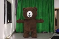 Ours en peluche vert foncé, meilleur cadeau, costume de mascotte gonflable géant, costume de cosplay, robe en fourrure pour événement