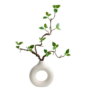 Plante Artificielle Qingyu Chronicle, Branche Unique en Caoutchouc Souple, Décoration Intérieure, Feuilles Vertes, Bouquet de Fleurs Séchées Bioniques - Product Image 5