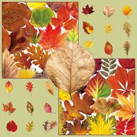 Autocollants décoratifs personnalisés en PET transparents et imperméables, 50 pièces, motifs de dessins animés, feuilles d'automne, pour téléphones portables, cahiers