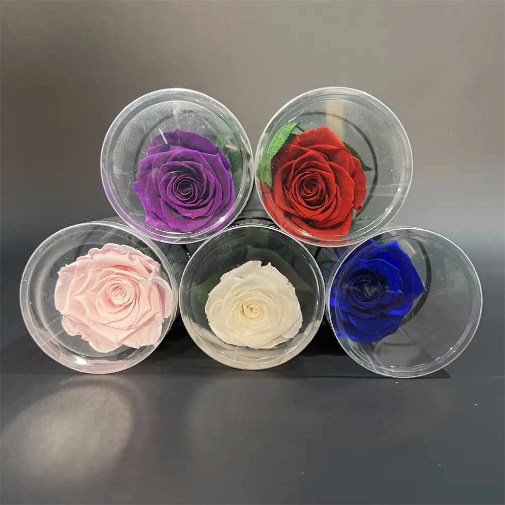 Langlebige ewige Rose mit Schmuck Acryl box Konservierte ewige Rosen blume 2021 Beliebteste konservierte Rose