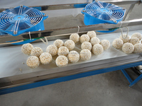 Ligne de production automatique de gâteau de barre de riz soufflé machine à former des boules de riz soufflé extrudeuse de boules croustillantes de riz