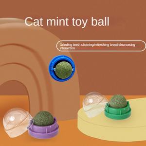 Jouet de balle d'herbe à <span class=keywords><strong>chat</strong></span> en plastique molaire nettoyage des dents résistant aux morsures soulageant le léchage étouffant jeu épaissi pour chats fournitures pour animaux de compagnie - Product Image 5