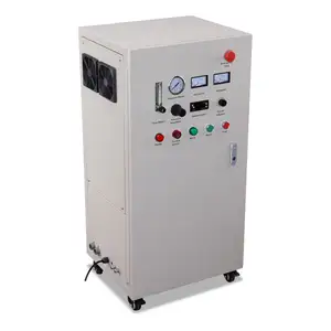 High quality water ozone machine 30G ozone generator for osmosis reverse plant humidifier
