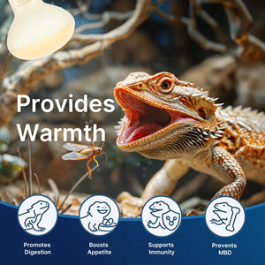 소형 애완 동물 파충류를 위한 엄격한 품질의 파충류 구근 E26 R80 젖빛 유리 에너지 절약형 방폭 난방 조명 - Product Image 4