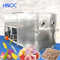 HNOC Commerciële 200kg Capaciteit Fruit Vriesdroogmachine Peptide Liofilisator Blauwe Bes Mango Vriesdroger
