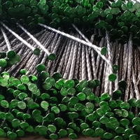 Clous en spirale de paysage en acier galvanisé antirouille/piquets de gazon de 8 pouces et 10 pouces