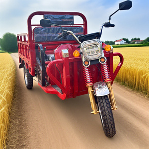 Triciclo Elettrico da Carico 1000W con 2 Posti Passeggeri, Veicolo a Tre Ruote 48V, Disponibile con Carrozzeria Aperta, Triciclo con Cassone Ribaltabile da 1 Tonnellata - Product Image 3